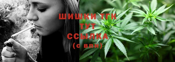 гашик Карпинск