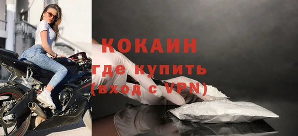 гашик Карпинск