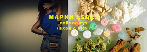 гашик Карпинск