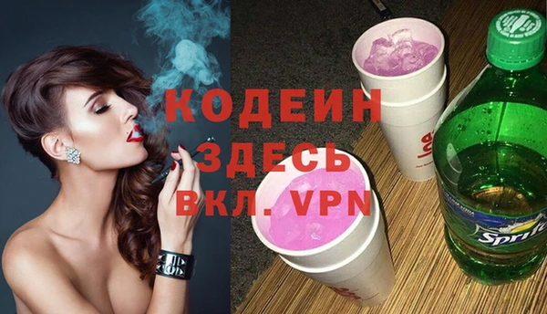 соль ск Инсар