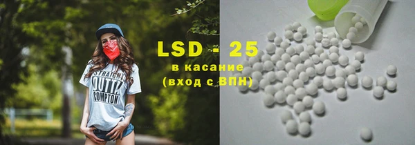 гашик Карпинск