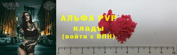 гашик Карпинск