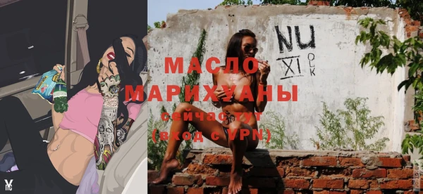 гашик Карпинск