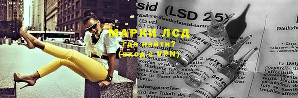 гашик Карпинск