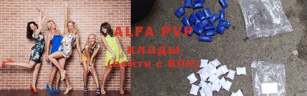гашик Карпинск