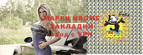 гашик Карпинск