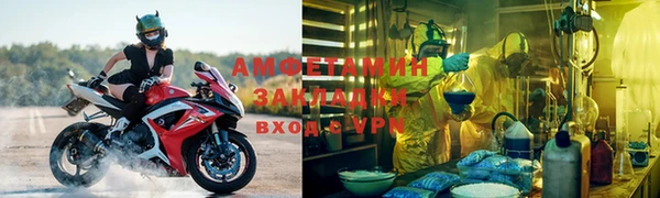 гашик Карпинск