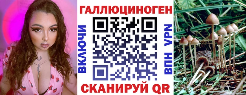 Псилоцибиновые грибы мицелий  купить закладку  Истра 