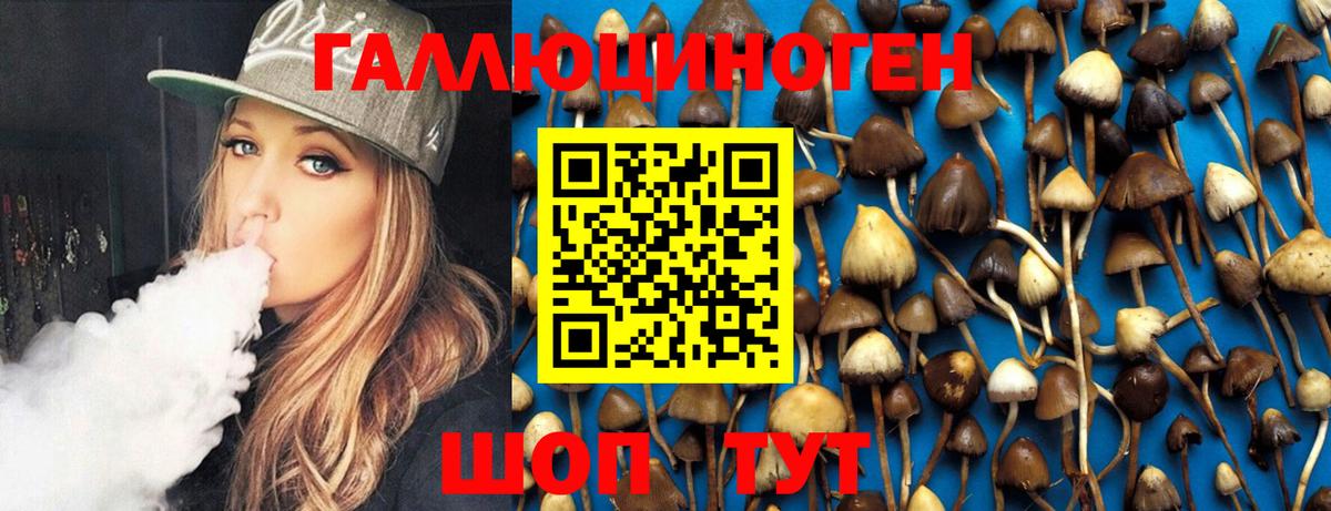 Галлюциногенные грибы Psilocybe Истра