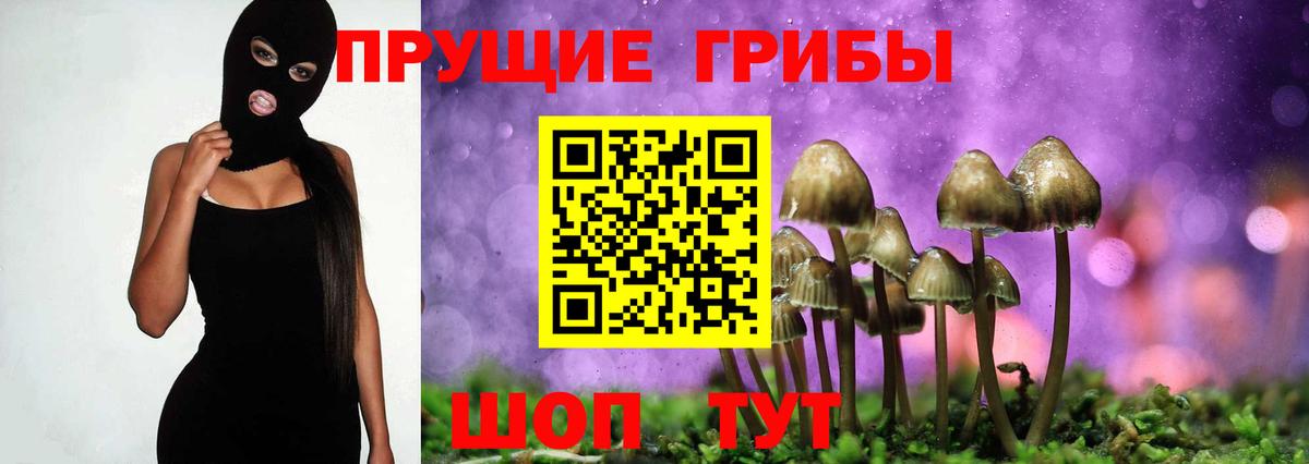 Псилоцибиновые грибы Psilocybe  Вход с VPN  сколько стоит  Истра 