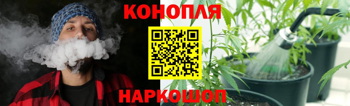 Конопля гибрид  Вход с VPN  Бошки Шишки AK-47  Истра  Марихуана индика 